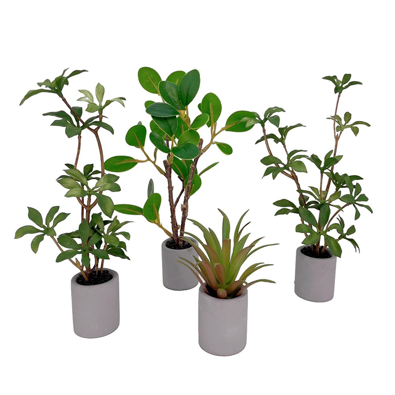 Bonsai Garden Kit - 1:6 Dollhouse Miniature กระถางต้นไม้สีเขียวใบพืชหม้อบอนไซบ้านสวนตกแต่งของเล่นตุ๊กตาอุปกรณ์เสริม House