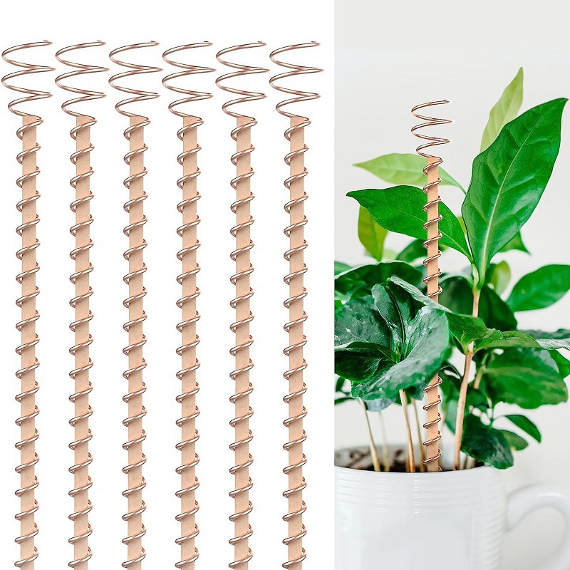 Copper Wire Roll - เสาคิ้วทองแดงสำหรับปลูกบอนไซ แบบขดลวด ไม้เสียบดิน แบบขดลวดเสาอากาศ แท่งยึดบอนไซ สำหรับปลูกพืชสวน