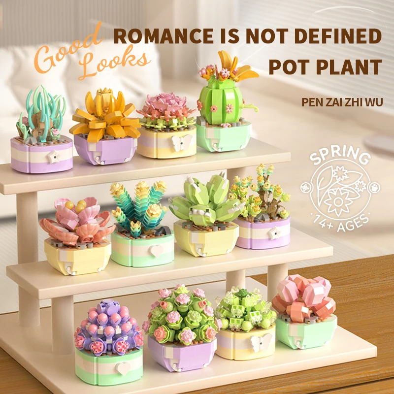ชุดของเล่นสำหรับเด็กโมเดลต้นบอ - Bonsai Garden Kit บทวิจารณ์และราคา