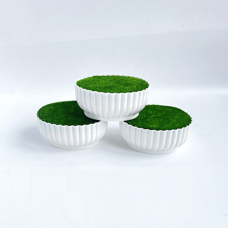 กระบวนการฉีดขึ้นรูปที่ทนทานต่อ - Bonsai Garden Shop บทวิจารณ์และราคา
