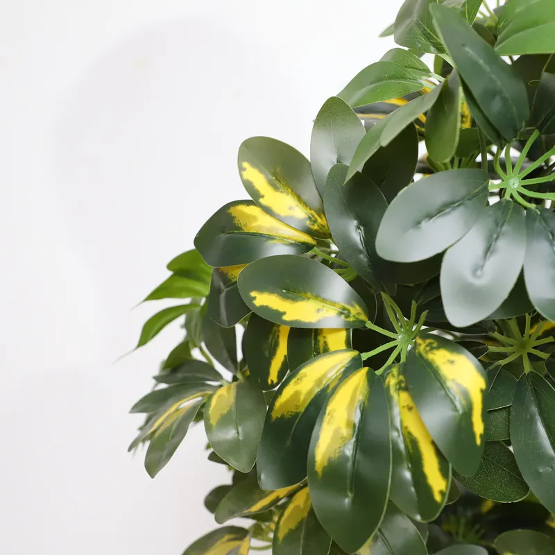 ต้นไม้ประดิษฐ์เชฟเฟลอร่าราคาโร - Bonsai Garden Price บทวิจารณ์และราคา