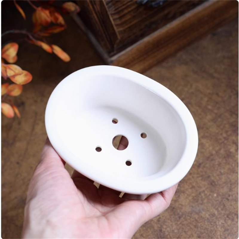 พอร์ซเลนสีขาวรูปไข่Bonsaiหม้อ, - Bonsai Garden Desk บทวิจารณ์และราคา