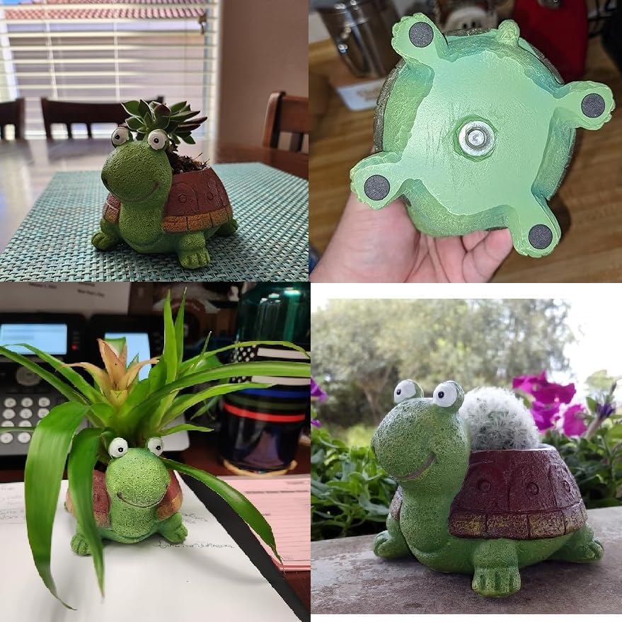 ที่ปลูกต้นไม้บอนไซรูปเต่าน่ารั - Bonsai Garden Desk บทวิจารณ์และราคา