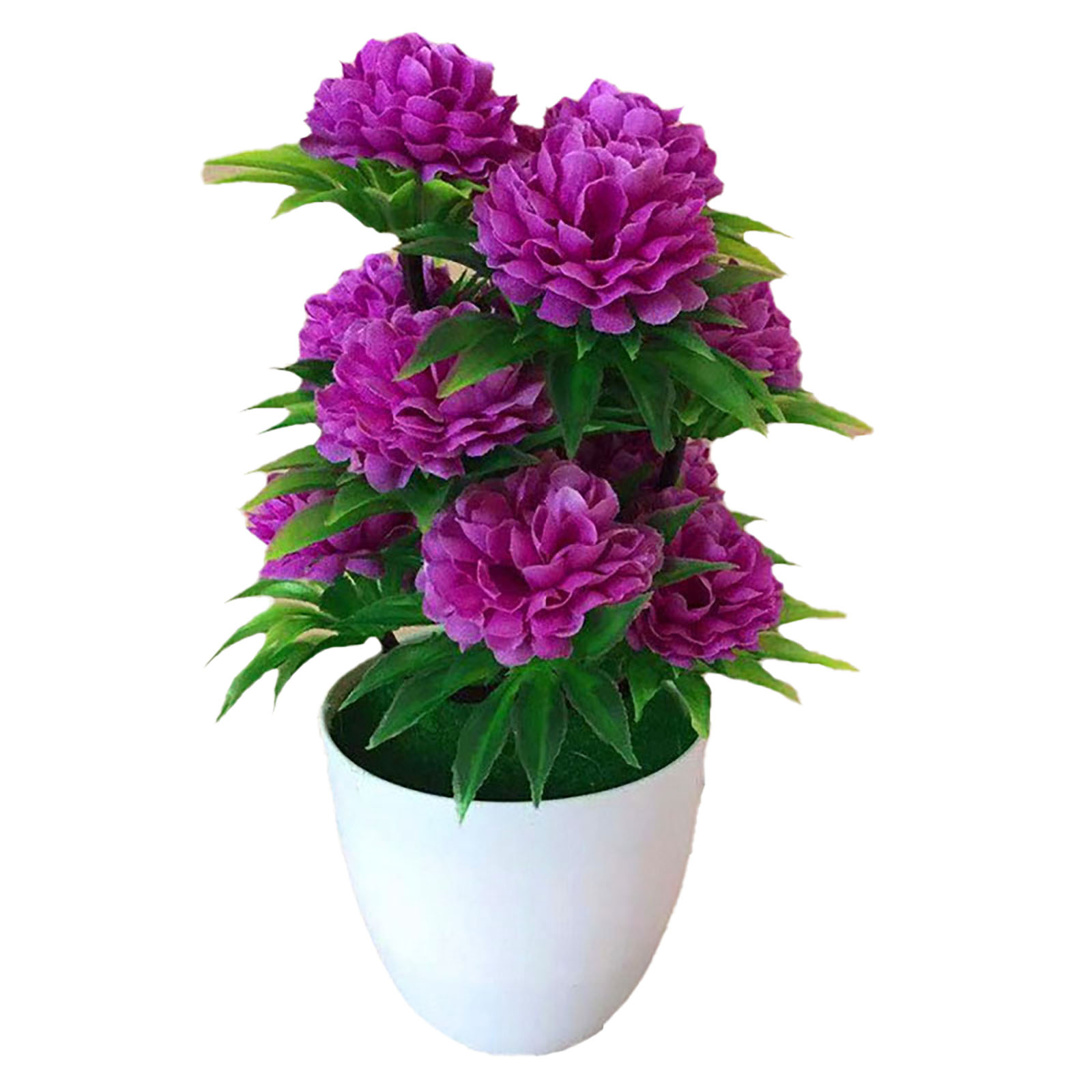 ตกแต่งสวยงาม มีสไตล์ ต้นบอนไซป - Bonsai Garden Shop บทวิจารณ์และราคา
