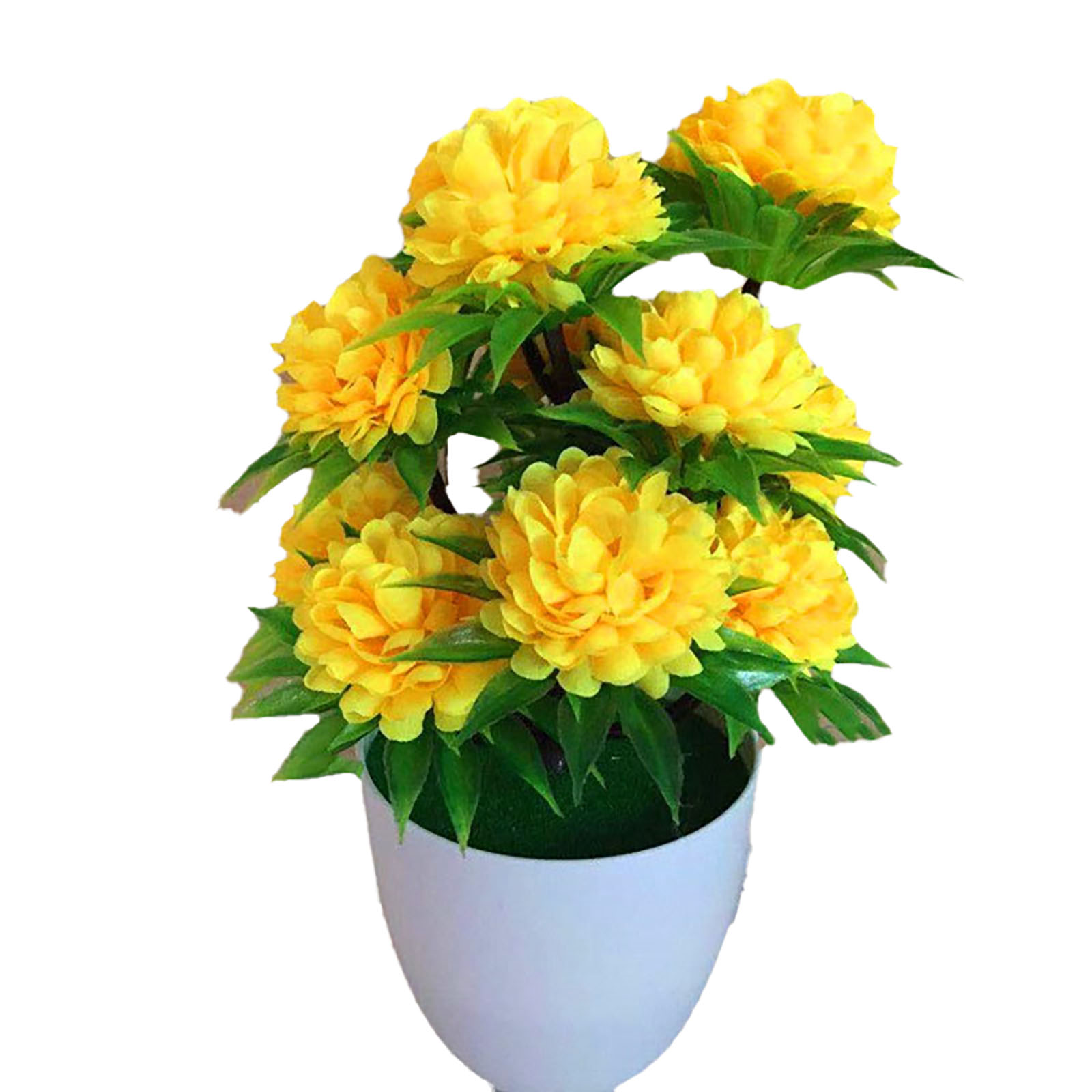 ตกแต่งสวยงาม มีสไตล์ ต้นบอนไซป - Bonsai Garden Shop บทวิจารณ์และราคา