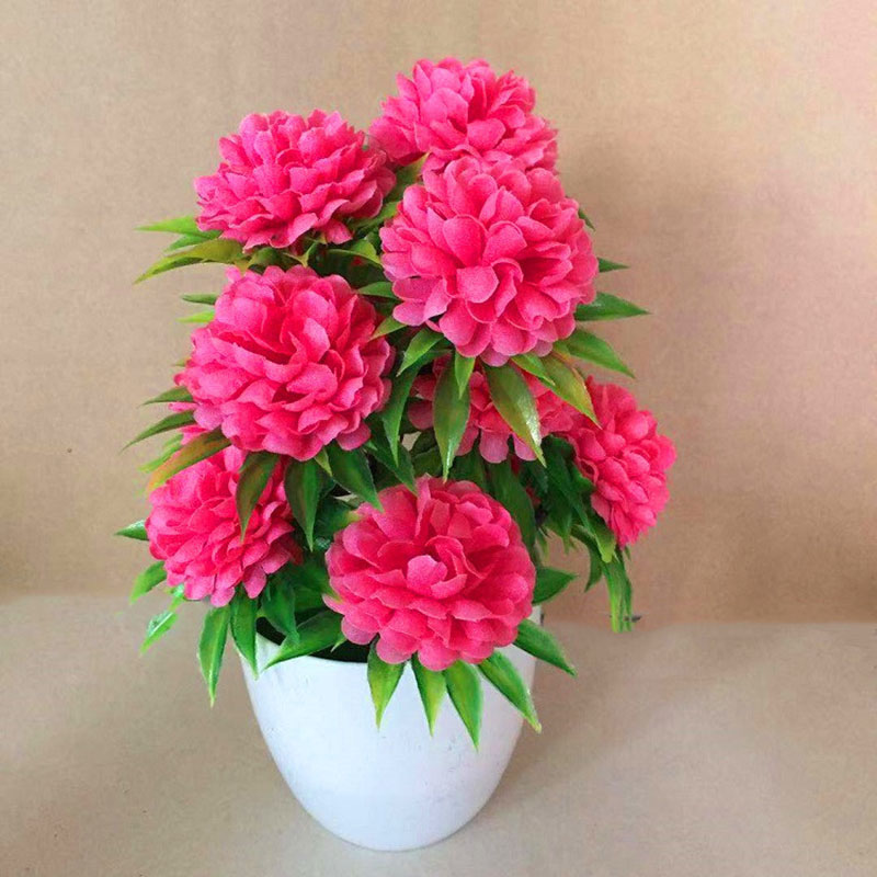 ตกแต่งสวยงาม มีสไตล์ ต้นบอนไซป - Bonsai Garden Shop บทวิจารณ์และราคา