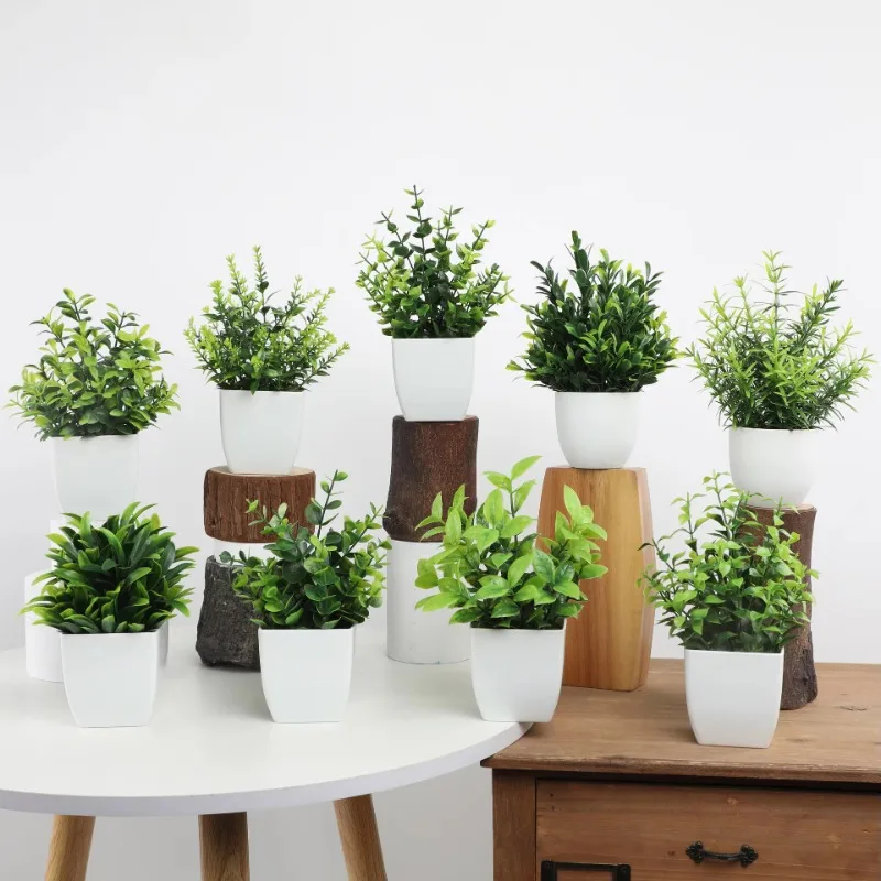 ขายส่ง OEM/ODM ประดิษฐ์ Mini P - Bonsai Garden Kit บทวิจารณ์และราคา