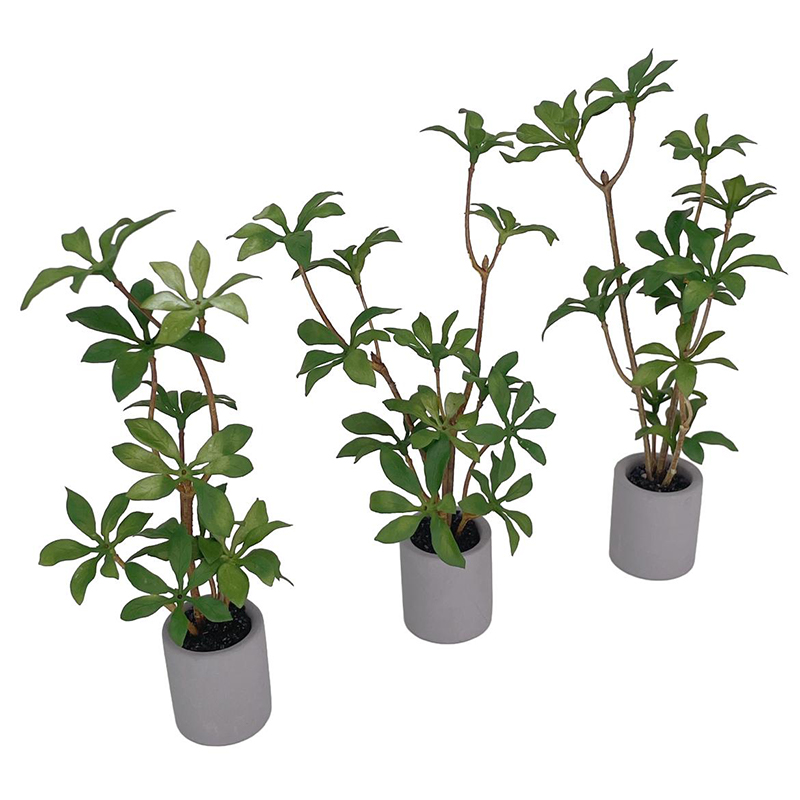 1:6 Dollhouse Miniature กระถาง - Bonsai Garden Kit บทวิจารณ์และราคา
