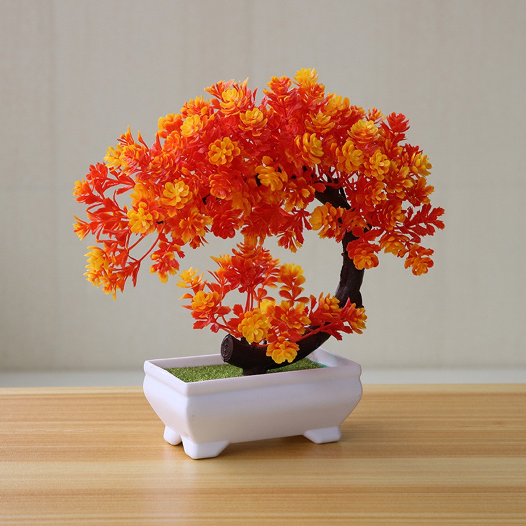 ต้นบอนไซประดับในกระถางพลาสติกส - Bonsai Garden Desk บทวิจารณ์และราคา
