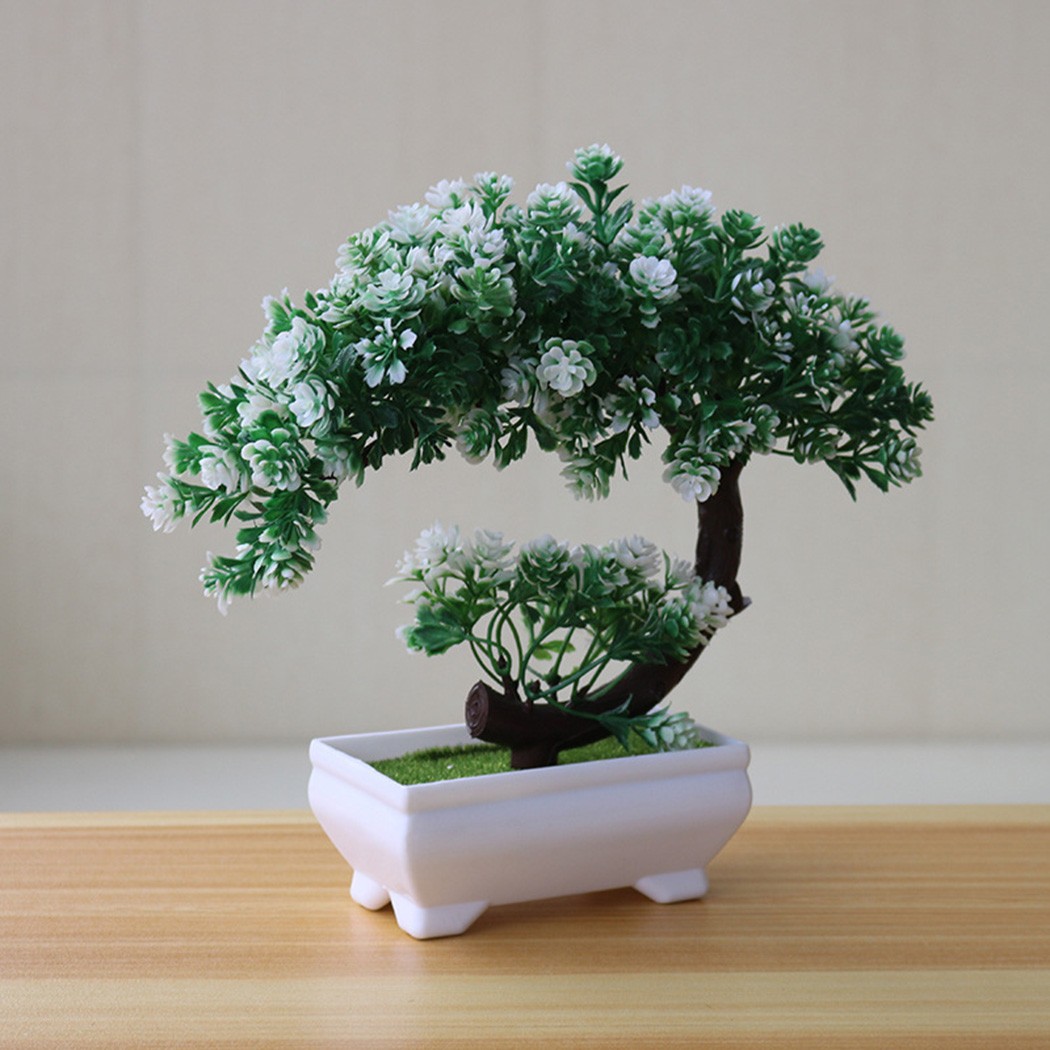 ต้นบอนไซประดับในกระถางพลาสติกส - Bonsai Garden Desk บทวิจารณ์และราคา