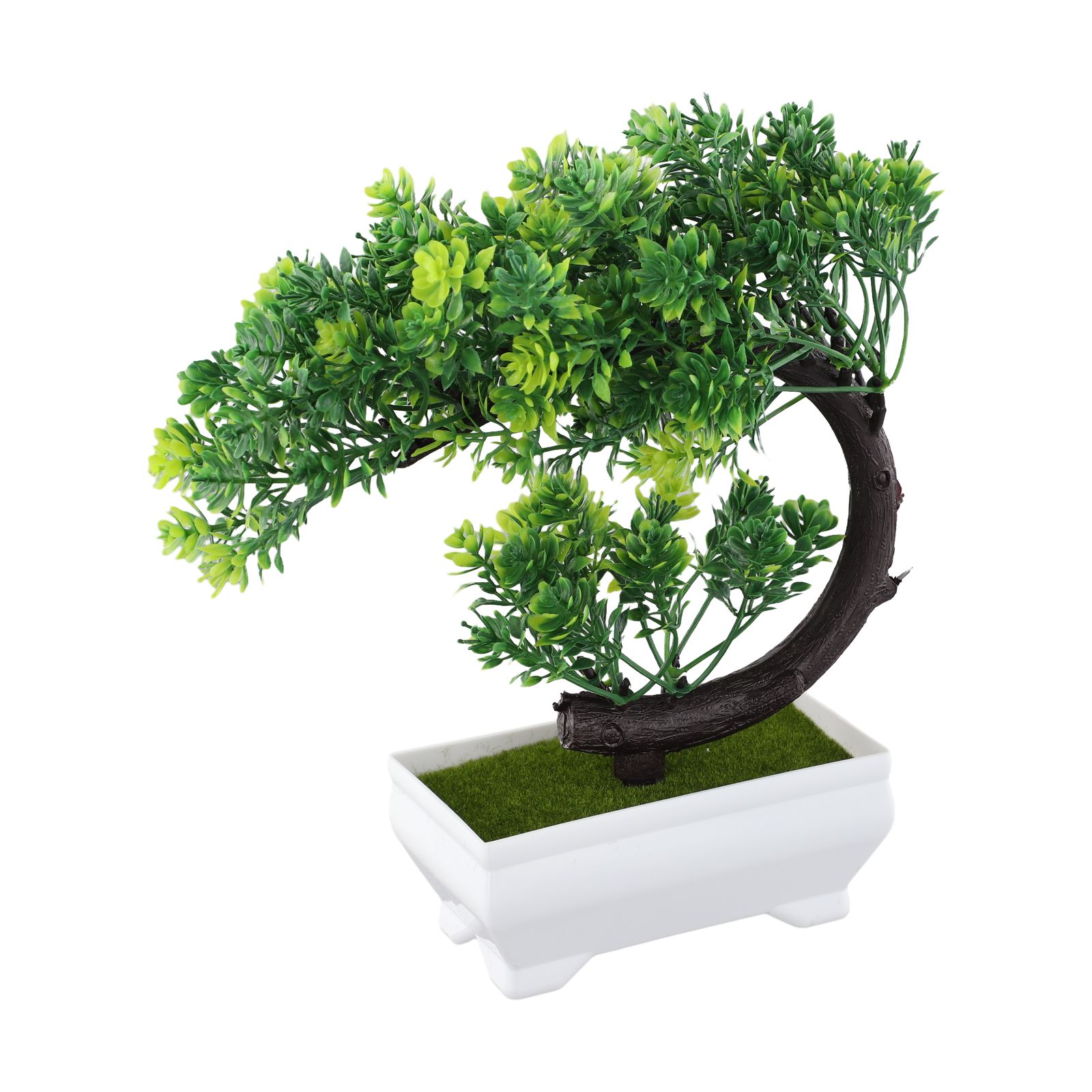 ต้นบอนไซประดับในกระถางพลาสติกส - Bonsai Garden Desk บทวิจารณ์และราคา