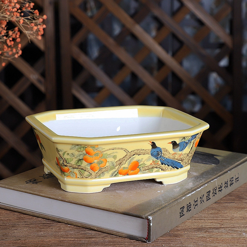 หม้อบอนไซสี่เหลี่ยมผืนผ้าพอร์ซ - Bonsai Garden Desk บทวิจารณ์และราคา