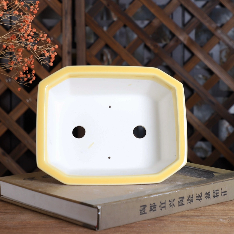หม้อบอนไซสี่เหลี่ยมผืนผ้าพอร์ซ - Bonsai Garden Desk บทวิจารณ์และราคา