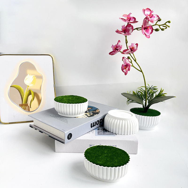 กระบวนการฉีดขึ้นรูปกระถางดอกไม - Bonsai Garden Shop บทวิจารณ์และราคา