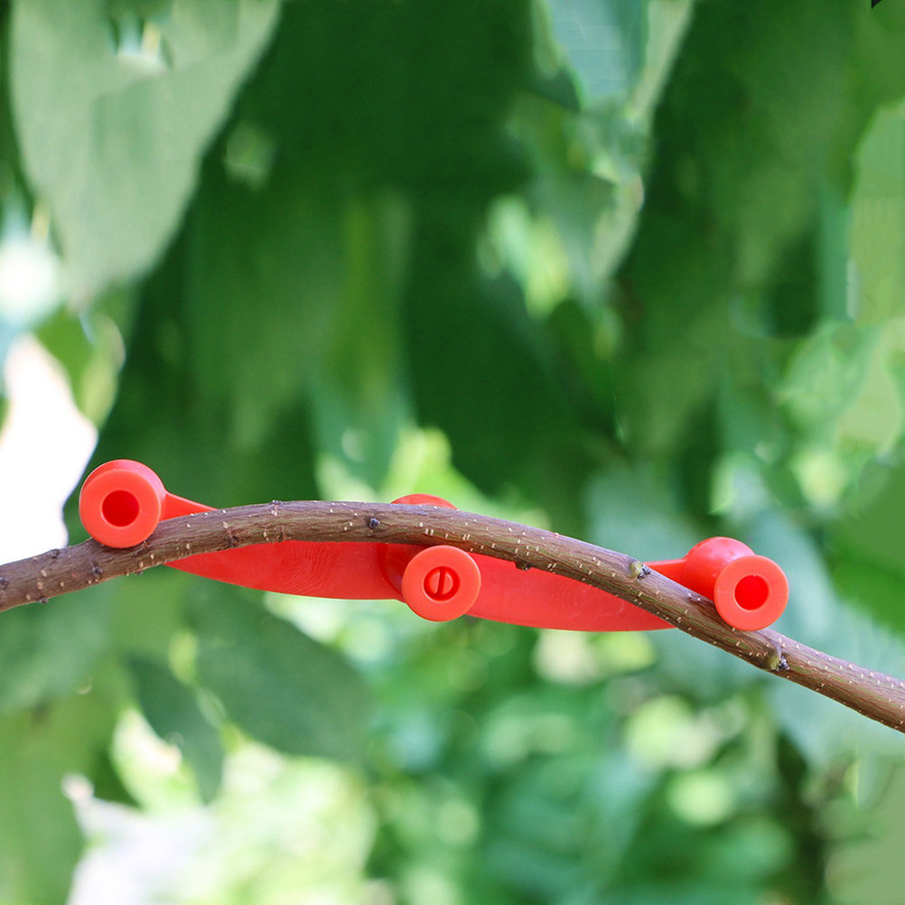 ที่ดัดกิ่งไม้แบบยืดหยุ่น 10 ชิ - Bonsai Gardener บทวิจารณ์และราคา