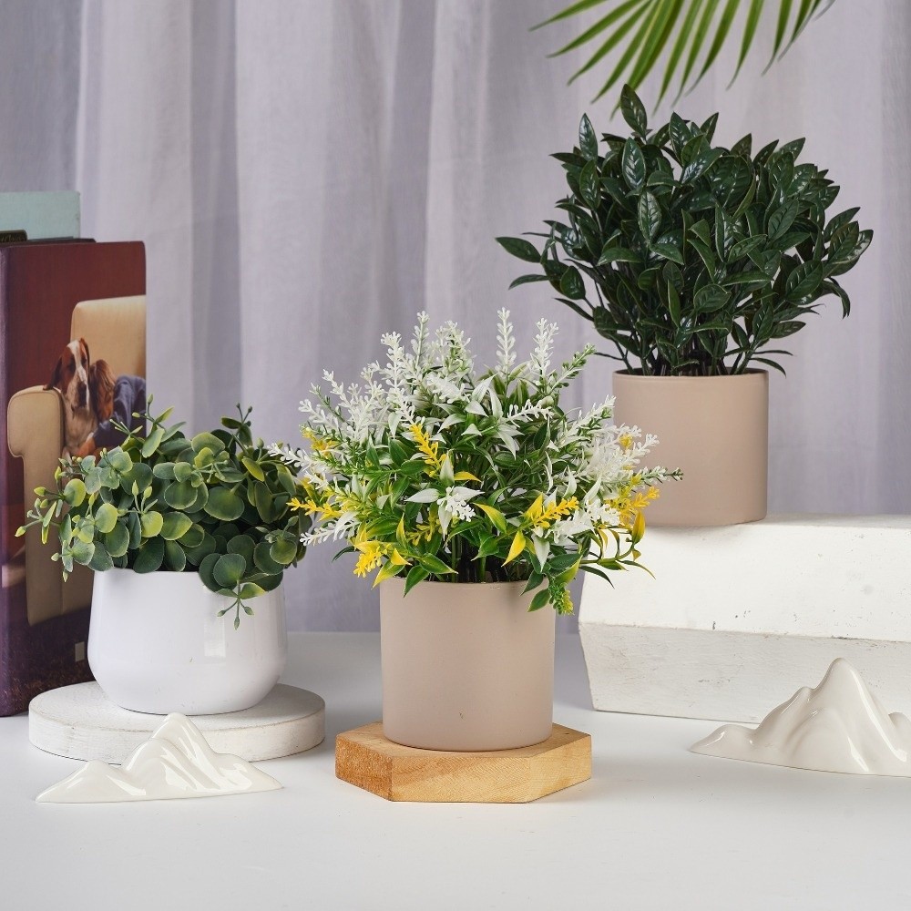 ต้นไม้จำลอง พลาสติก ต้นไม้ประด - Bonsai Garden Kit บทวิจารณ์และราคา