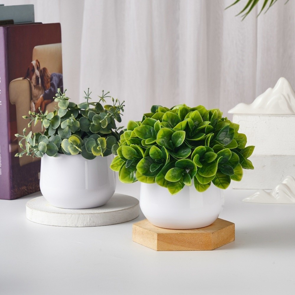 ต้นไม้จำลอง พลาสติก ต้นไม้ประด - Bonsai Garden Kit บทวิจารณ์และราคา