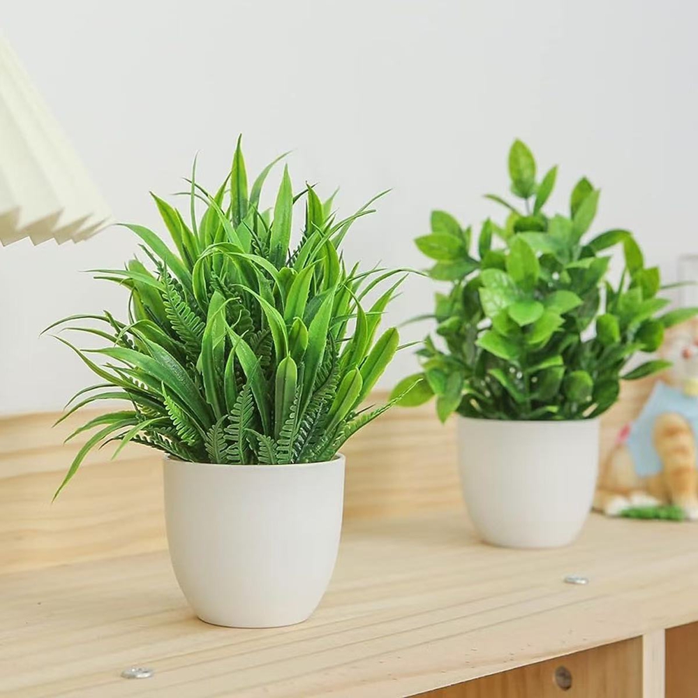 ชุดต้นไม้ประดิษฐ์ขนาดเล็ก 4 ชิ - Bonsai Garden Kit บทวิจารณ์และราคา