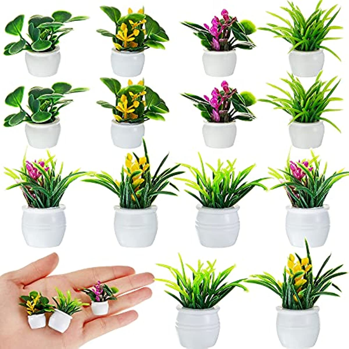 ต้นไม้บ้านตุ๊กตา, ต้นไม้บอนไซจ - Bonsai Garden Kit บทวิจารณ์และราคา