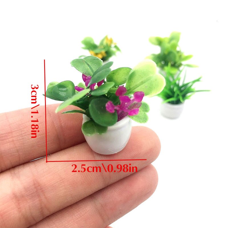ต้นไม้บ้านตุ๊กตา, ต้นไม้บอนไซจ - Bonsai Garden Kit บทวิจารณ์และราคา