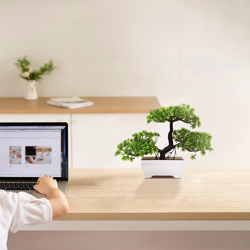 บอนไซประดิษฐ์พลาสติก Bionic โร - Bonsai Garden Desk บทวิจารณ์และราคา
