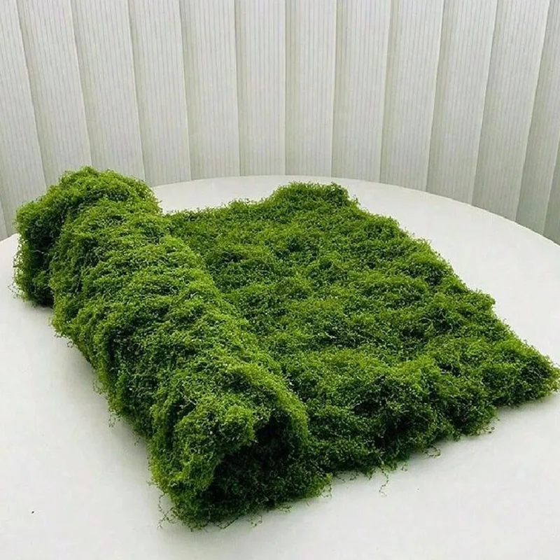 มอสเทียมสำหรับตกแต่งไมโครแลนด์ - Bonsai Garden Kit บทวิจารณ์และราคา