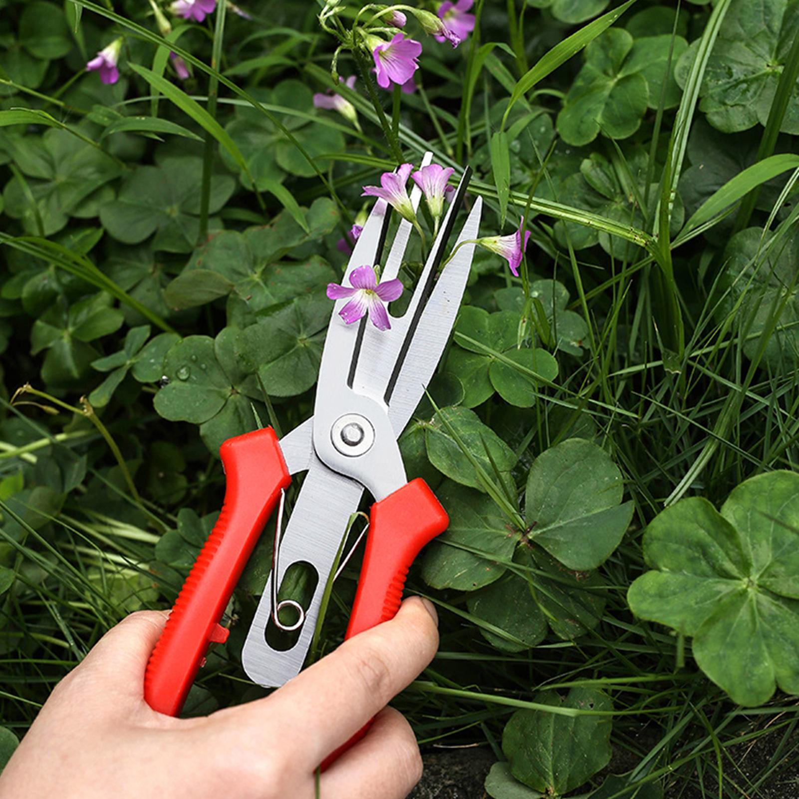 กรรไกรตัดกิ่งสแตนเลส ด้ามจับตา - Bonsai Gardener บทวิจารณ์และราคา