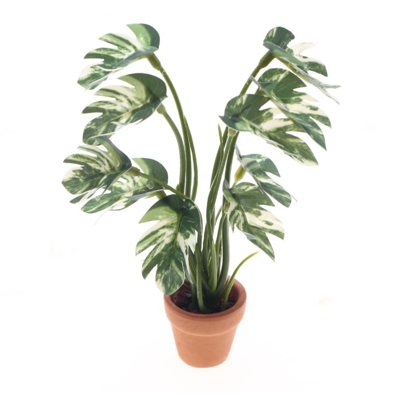 ใหม่! ต้นมอนสเตอร่าจำลอง 1 ชิ้ - Bonsai Gardener บทวิจารณ์และราคา