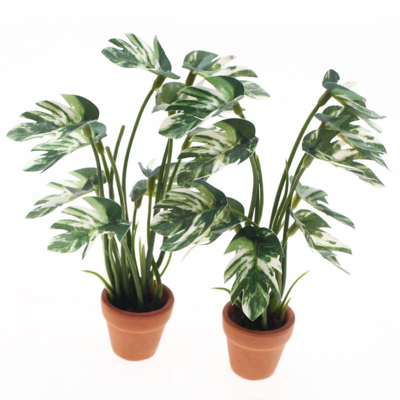 ใหม่! ต้นมอนสเตอร่าจำลอง 1 ชิ้ - Bonsai Gardener บทวิจารณ์และราคา