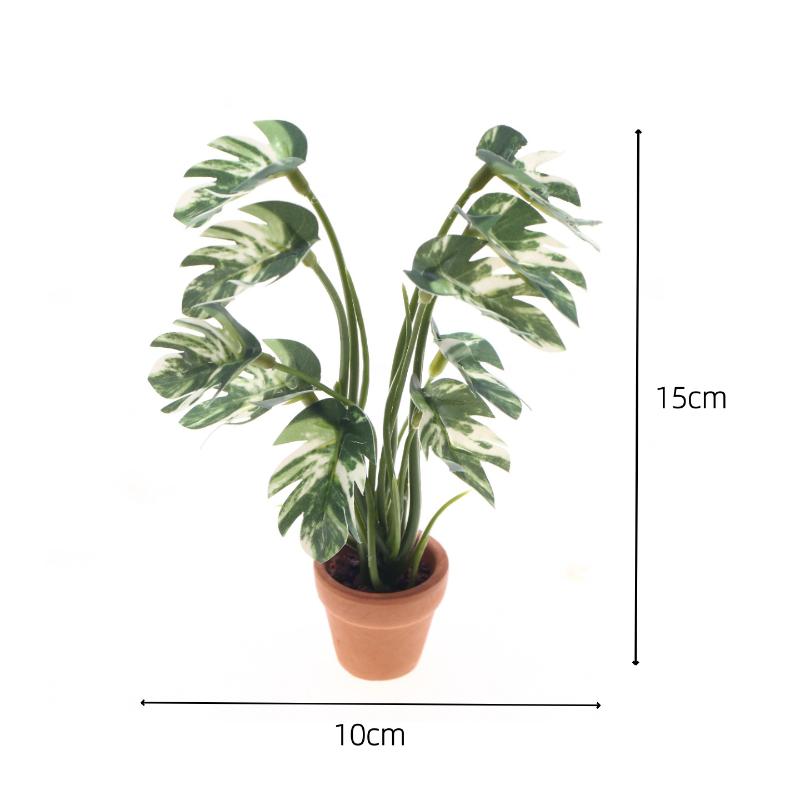 ใหม่! ต้นมอนสเตอร่าจำลอง 1 ชิ้ - Bonsai Gardener บทวิจารณ์และราคา