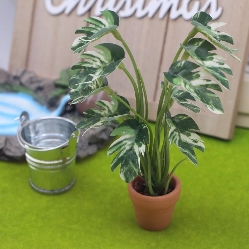 ใหม่! ต้นมอนสเตอร่าจำลอง 1 ชิ้ - Bonsai Gardener บทวิจารณ์และราคา