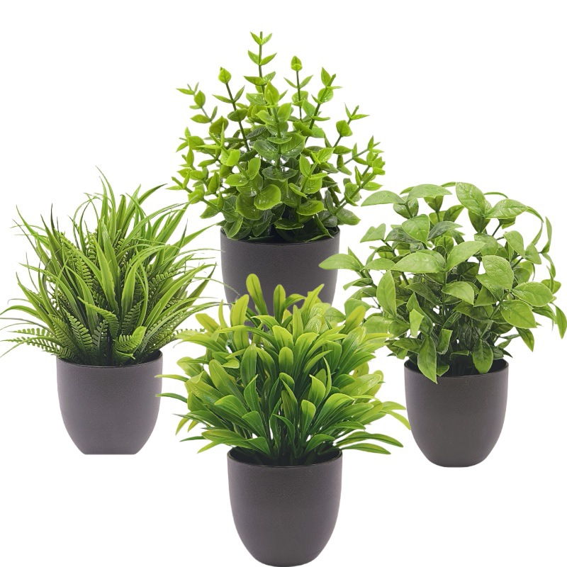 ต้นไม้จำลองสีเขียว บอนไซ ของตก - Bonsai Garden Kit บทวิจารณ์และราคา