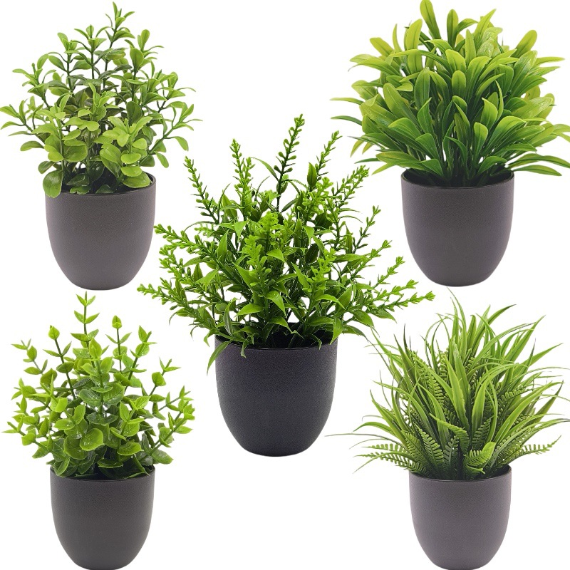 ต้นไม้จำลองสีเขียว บอนไซ ของตก - Bonsai Garden Kit บทวิจารณ์และราคา