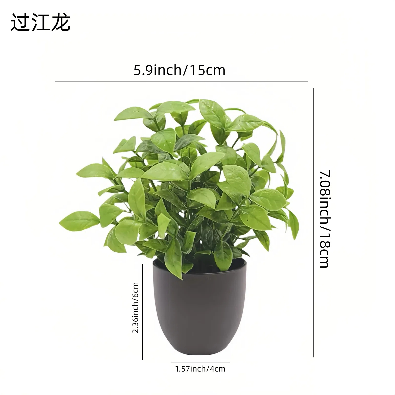 ต้นไม้จำลองสีเขียว บอนไซ ของตก - Bonsai Garden Kit บทวิจารณ์และราคา