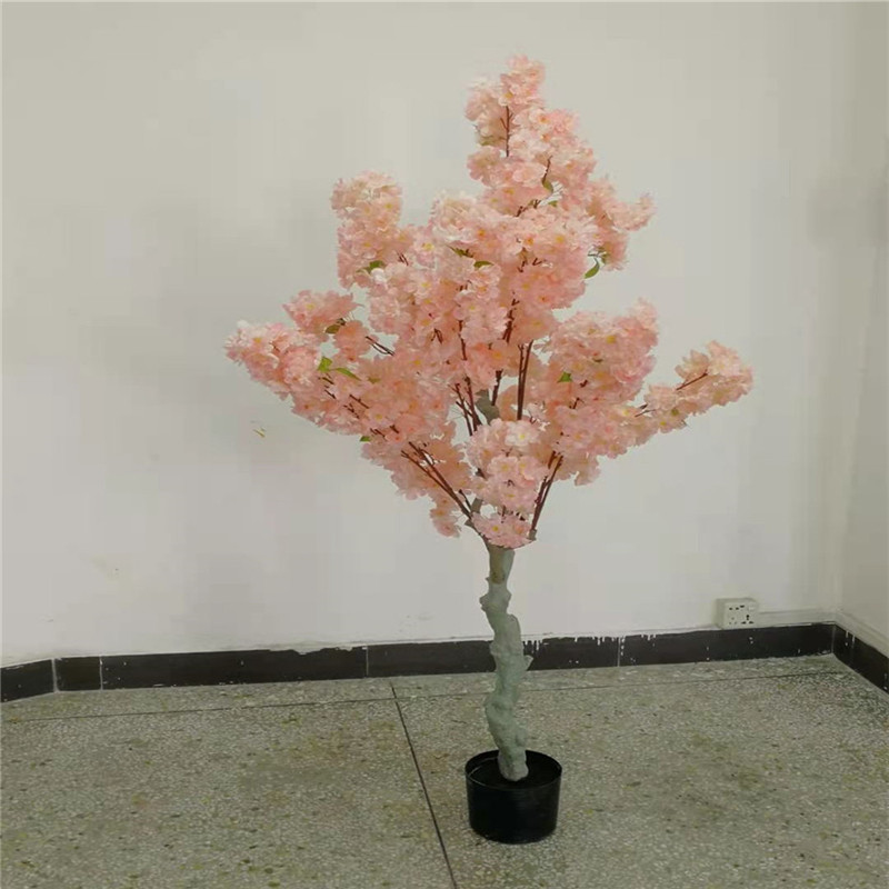ต้นซากุระเทียม กันน้ำ สำหรับตก - Bonsai Garden Shop บทวิจารณ์และราคา