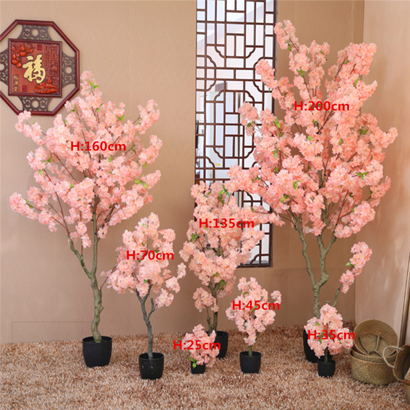 ต้นซากุระเทียม กันน้ำ สำหรับตก - Bonsai Garden Shop บทวิจารณ์และราคา